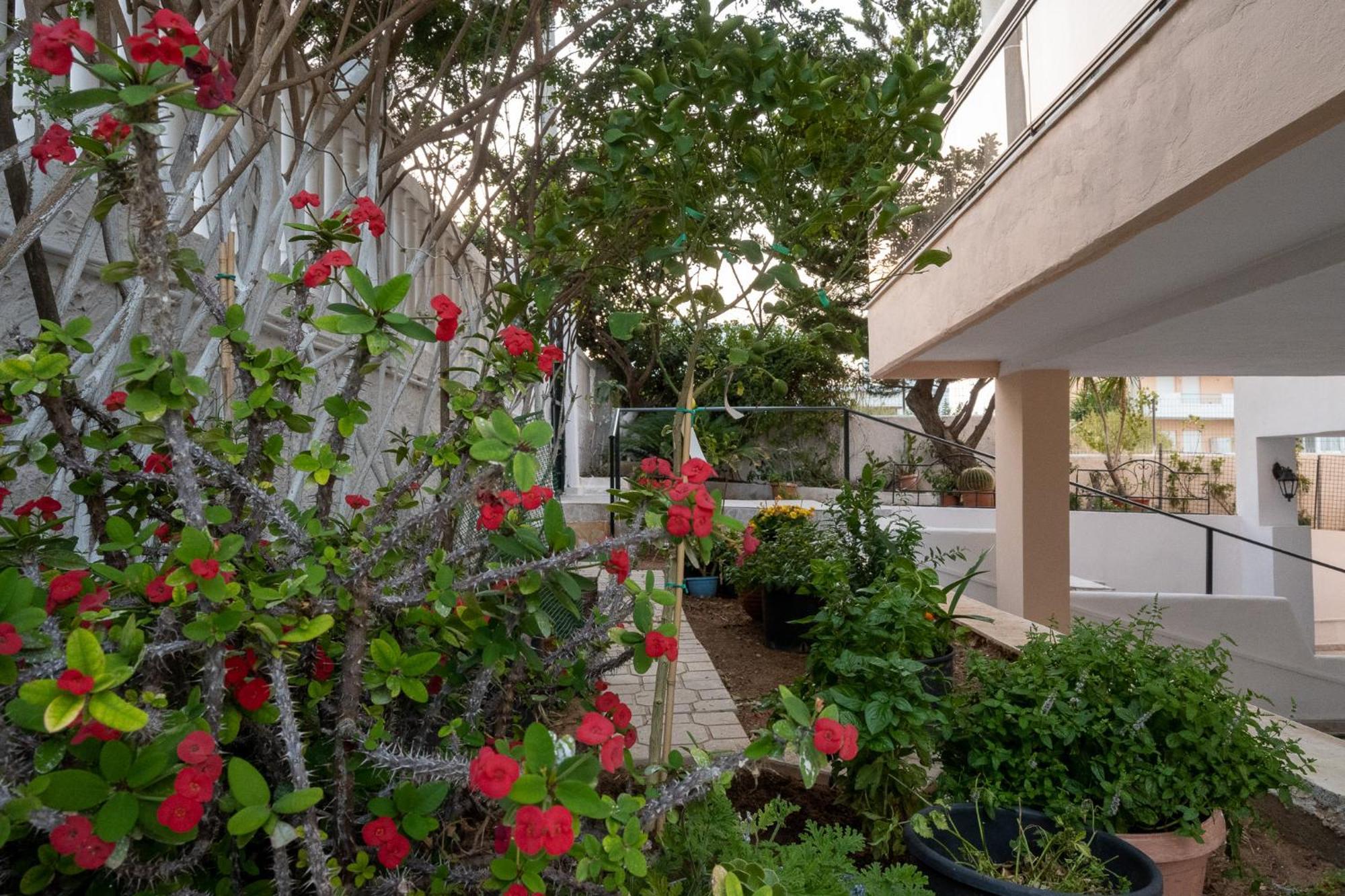 Unbeatable View, Family Apartment Rafína المظهر الخارجي الصورة